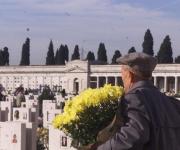 abusivismo fiori